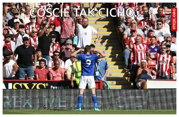 COŚCIE TAK CICHO...