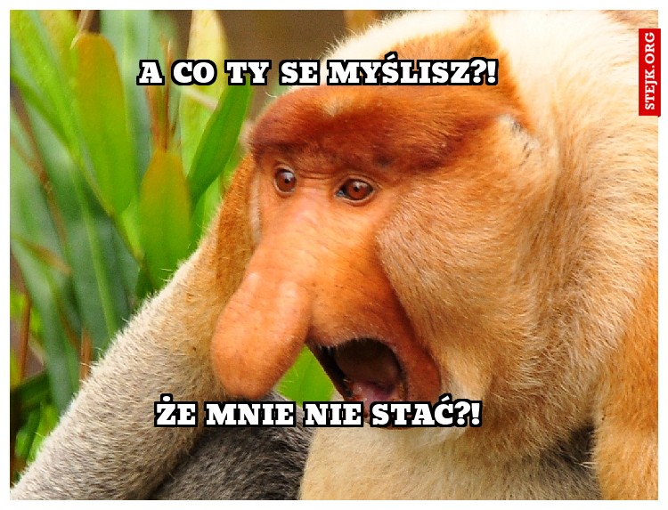 A co ty se myślisz?!