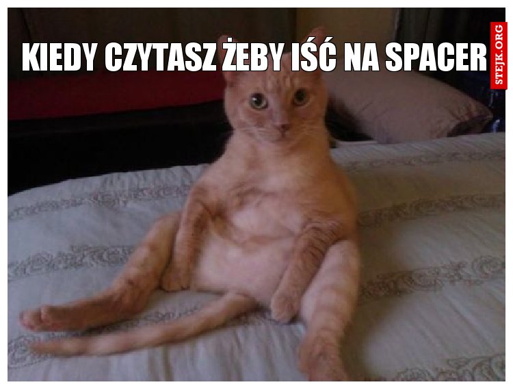 Kiedy czytasz żeby iść na spacer