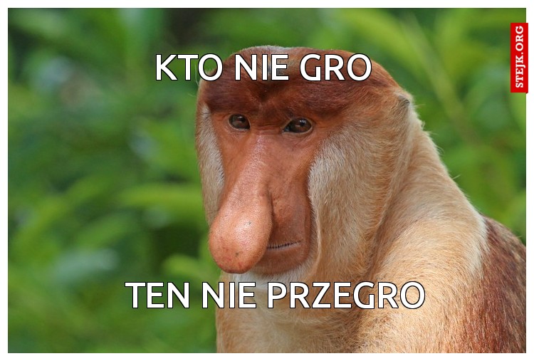 Kto nie gro