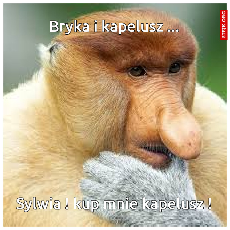 Bryka i kapelusz ...