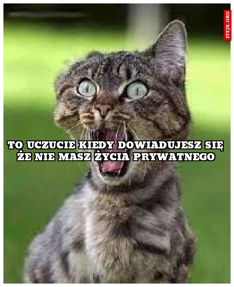 To uczucie kiedy dowiadujesz się że nie masz życia prywatnego