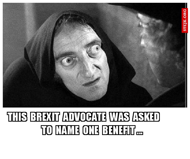 This  Brexit  advocate  was  asked          to  name  one  benefit ...