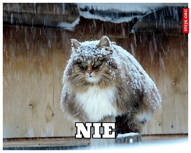 NIE