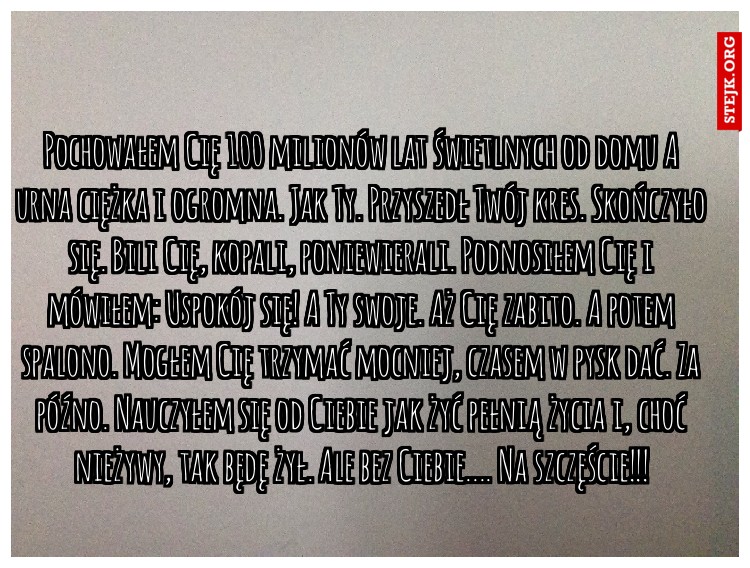 Pochowałem Cię 100 milionów lat świetlnych od domu A urna ciężka i ogromna. Jak Ty. Przyszedł Twój kres. Skończyło się. Bili Cię, kopali, poniewierali. Podnosiłem Cię i mówiłem: Uspokój się! A Ty swoje. Aż Cię zabito. A potem spalono. Mogłem Cię trzymać mocniej, czasem w pysk dać. Za późno. Nauczyłem się od Ciebie jak żyć pełnią życia i, choć nieżywy, tak będę żył. Ale bez Ciebie.... Na szczęście!!!