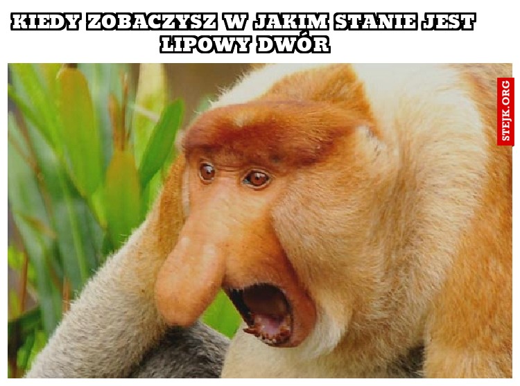 Kiedy zobaczysz w jakim stanie jest lipowy dwór
