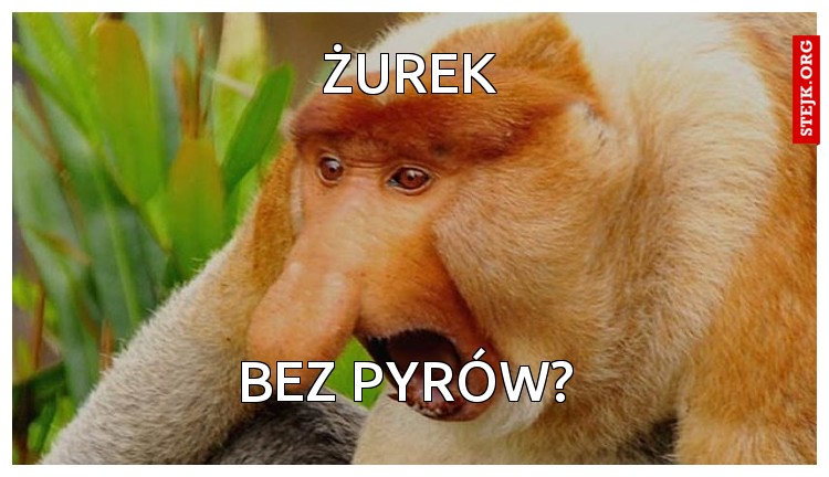 Żurek 