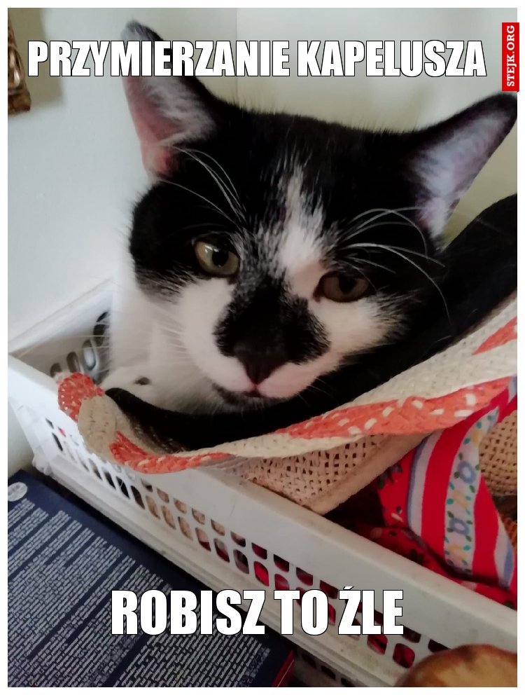 Przymierzanie kapelusza 