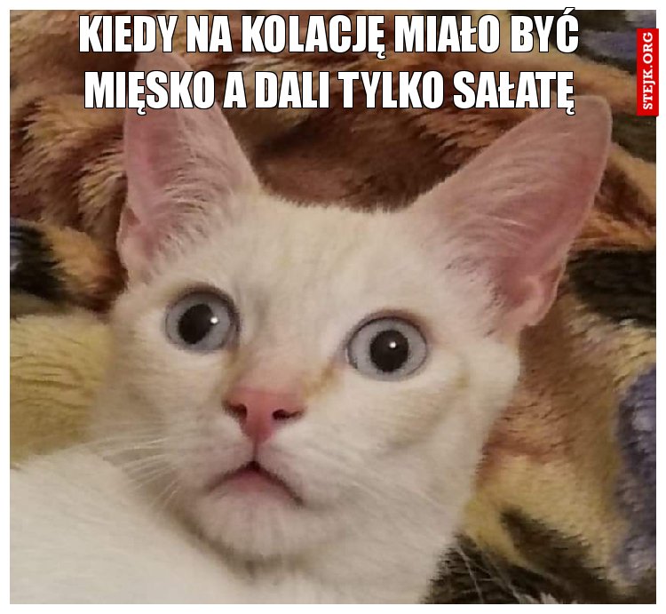 KIEDY NA KOLACJĘ MIAŁO BYĆ MIĘSKO A DALI TYLKO SAŁATĘ