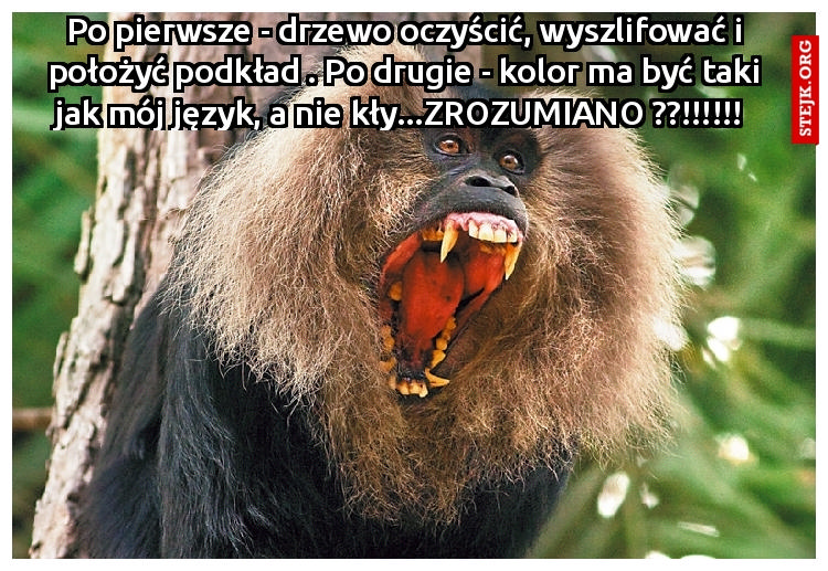 Mamo, przyjechała paczka z Kolorowej  Werandy - nie martw się  farbę podkładową Vittorino też położyłam 