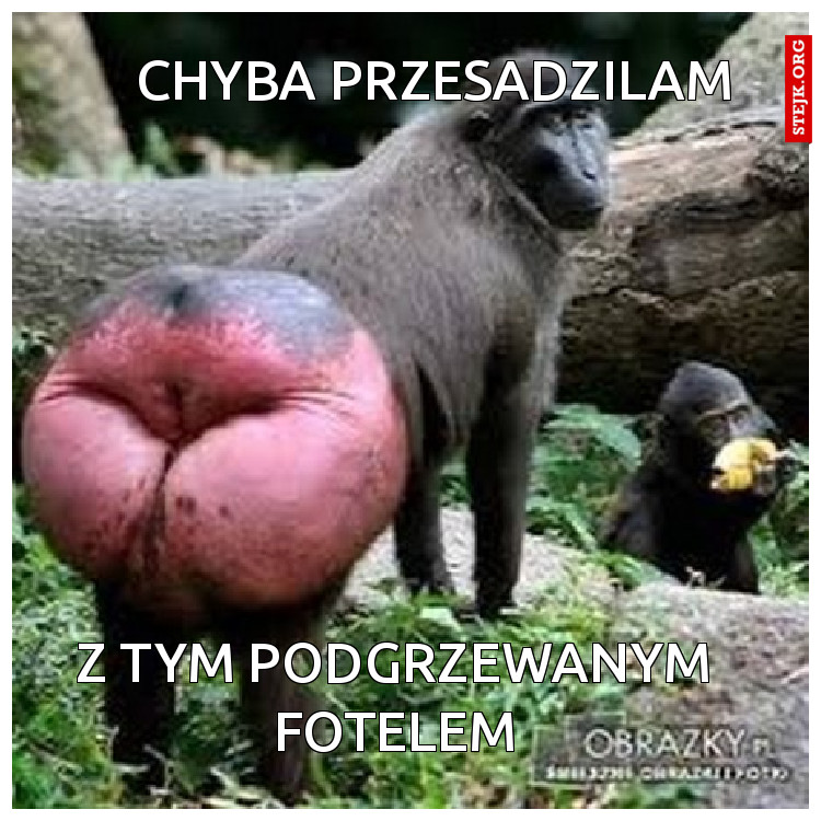CHYBA PRZESADZIŁAM