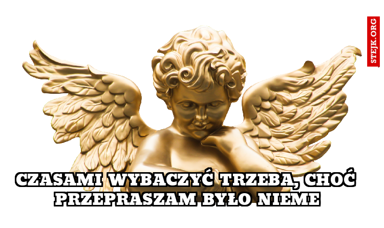 Czasami wybaczyć trzeba, choć przepraszam było nieme