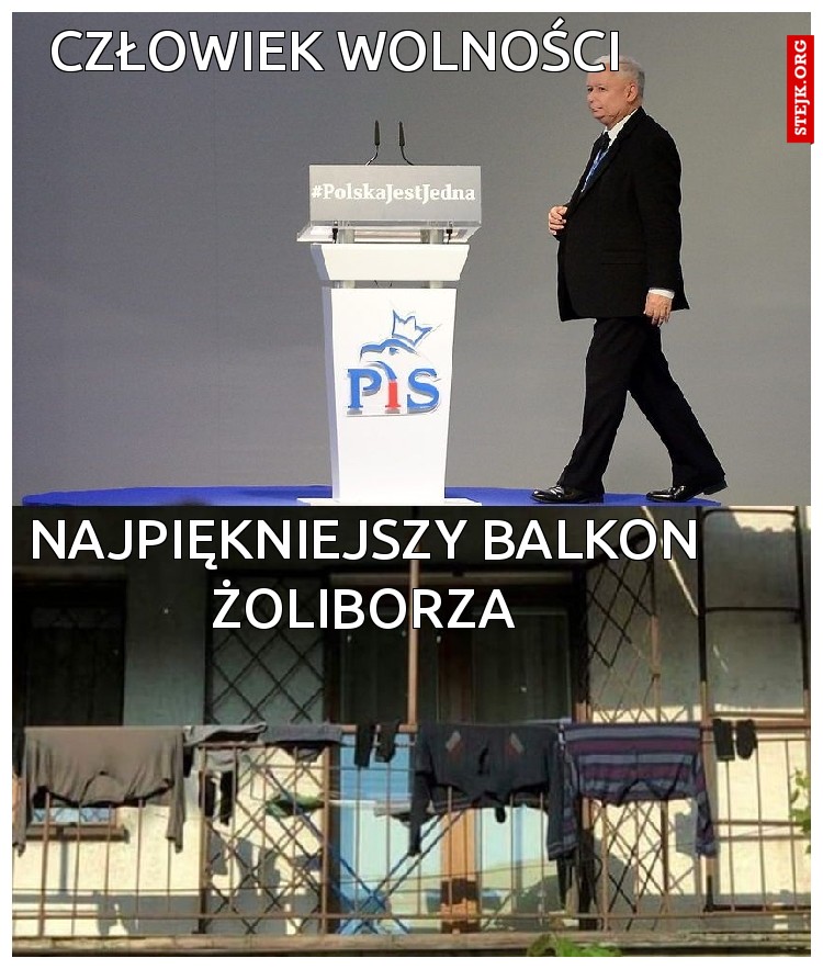 człowiek wolności