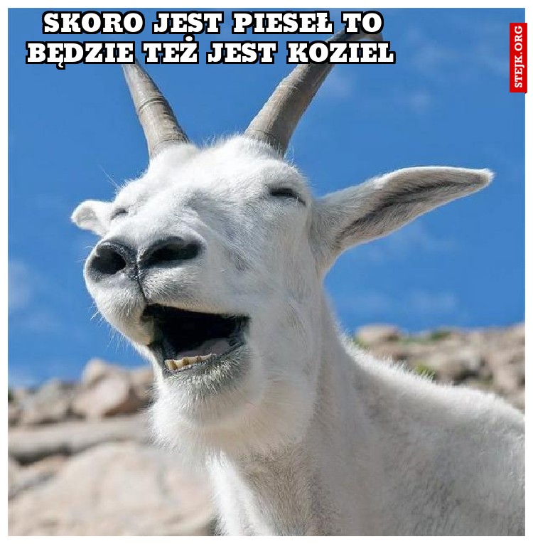 Skoro jest pieseł to będzie też jest koziel 