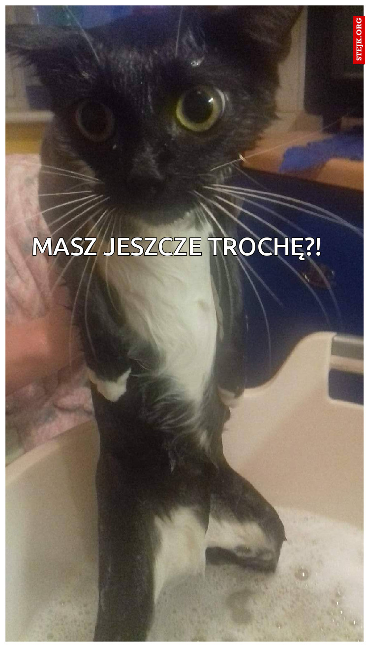 Masz jeszcze trochę?!