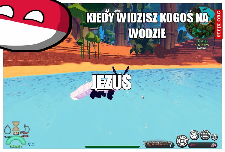 XD