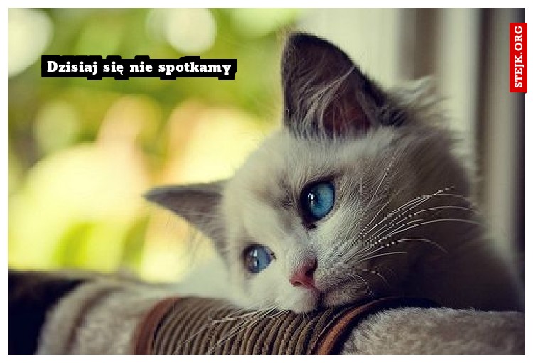 Dzisiaj się nie spotkamy