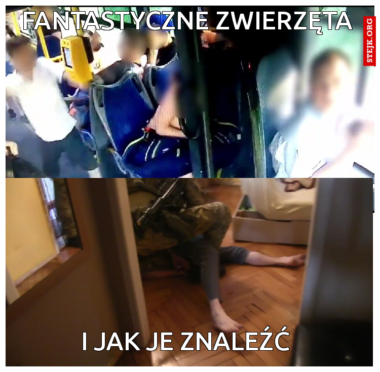 Fantastyczne zwierzęta