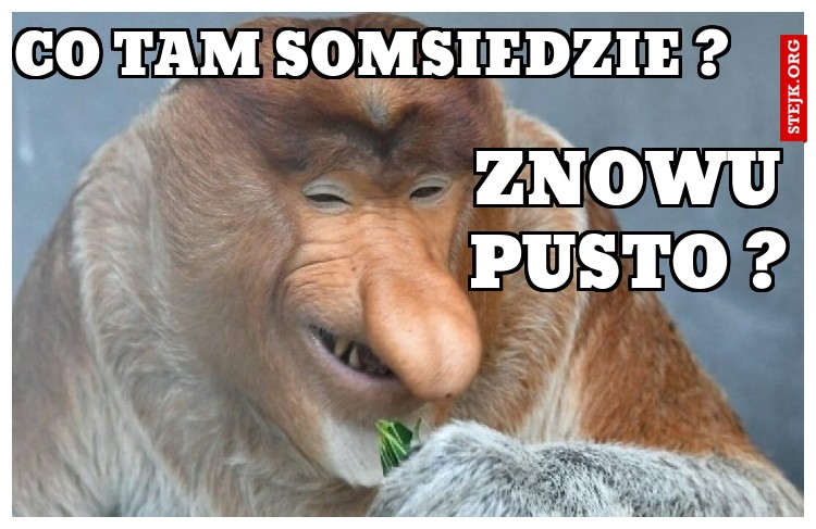 CO TAM SOMSIEDZIE ?