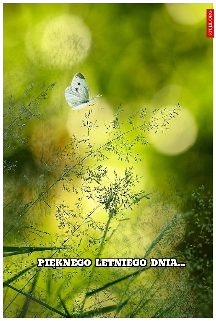 Pięknego letniego dnia...