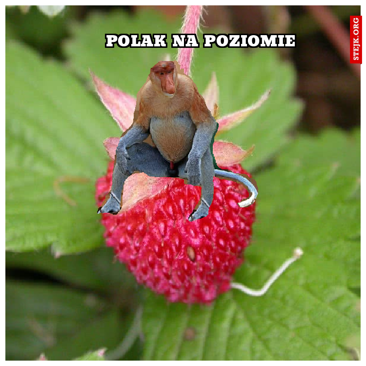 Polak na poziomie