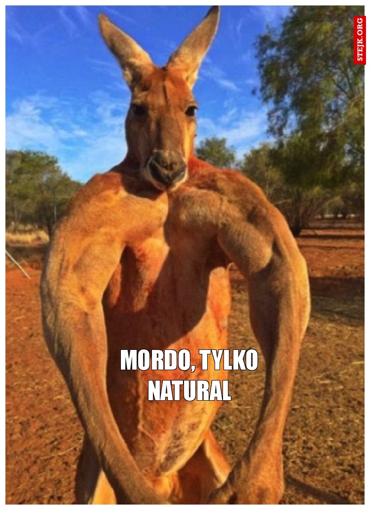 mordo, tylko natural