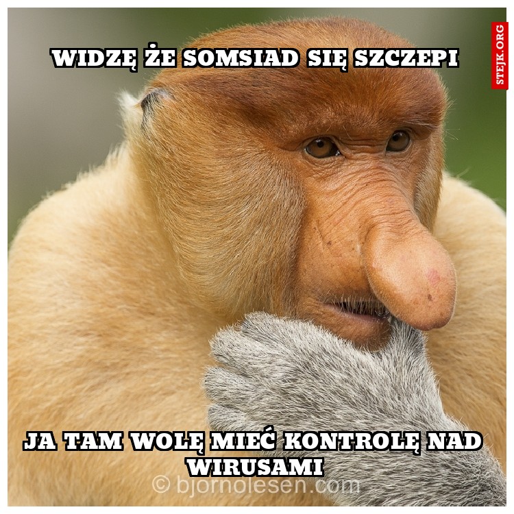 widzę że somsiad się szczepi