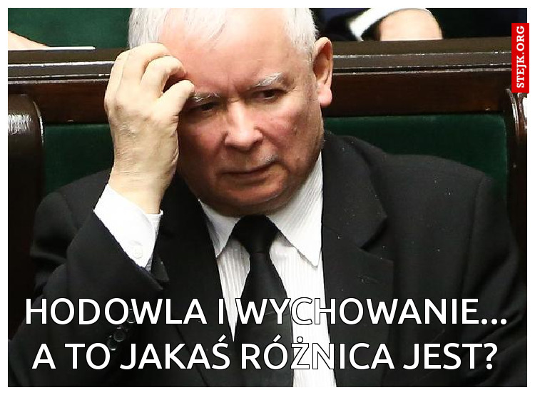 hodowla i wychowanie... A to jakaś różnica jest?