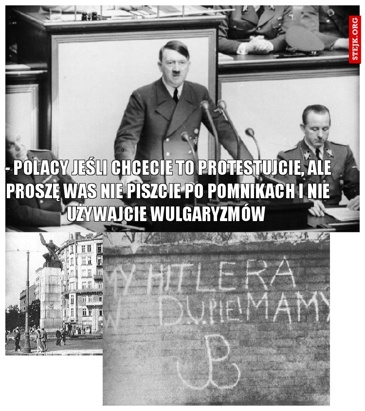 - POLACY JEŚLI CHCECIE TO PROTESTUJCIE, ALE PROSZĘ WAS NIE PISZCIE PO POMNIKACH I NIE UŻYWAJCIE WULGARYZMÓW 