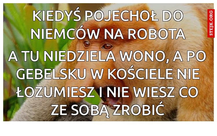Kiedyś pojechoł do niemców na robota