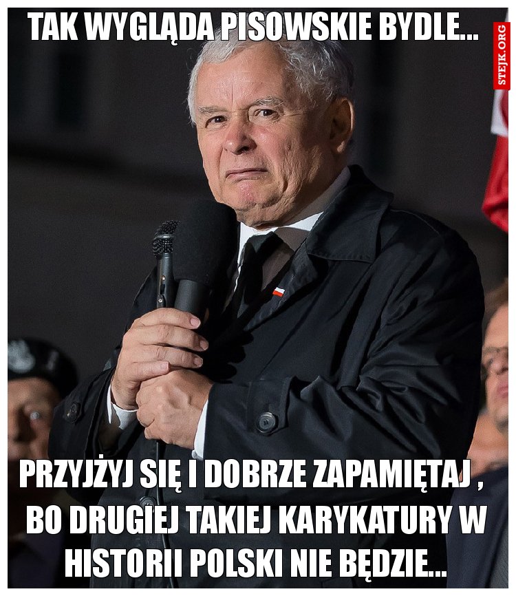 Tak wygląda pisowskie bydle...