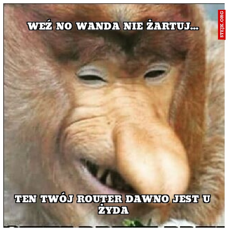 WEŹ NO WANDA NIE ŻARTUJ...