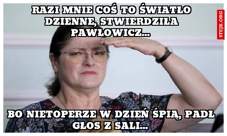 Razi mnie coś to światło dzienne, stwierdziła Pawłowicz... 
