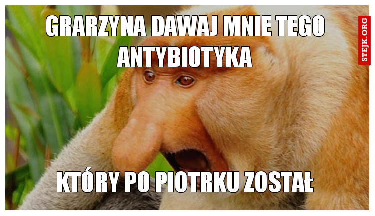 Grarzyna dawaj mnie tego antybiotyka