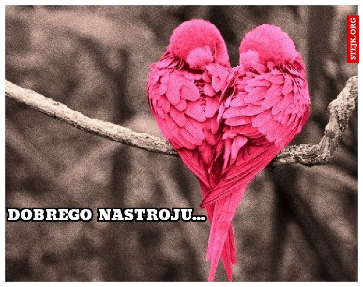 dobrego nastroju...