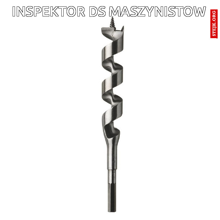 inspektor ds maszynistow