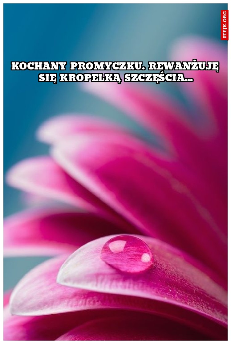 kochany promyczku. rewanżuję się kropelką szczęścia...