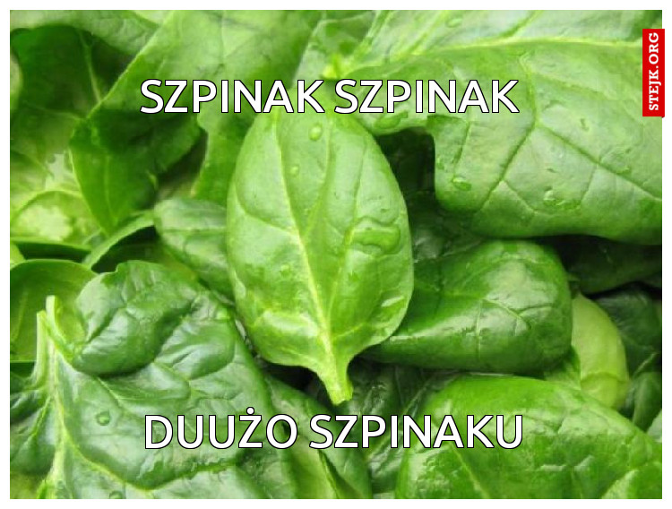 Szpinak szpinak