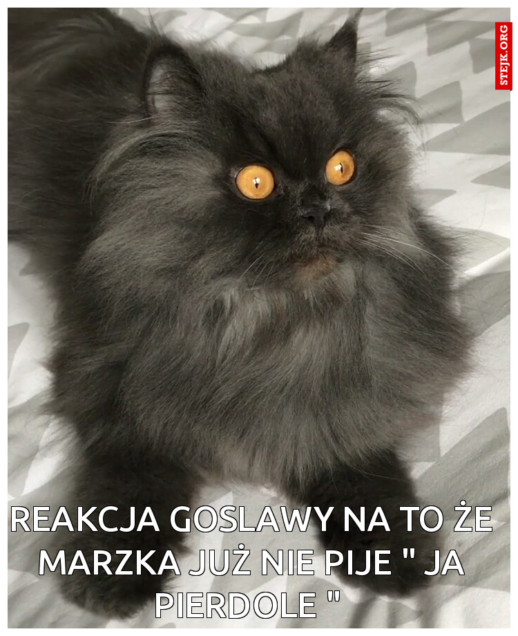 Marzka " już nie pije " 