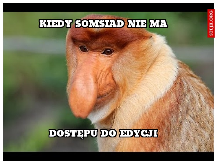 Kiedy somsiad nie ma