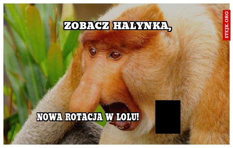 Zobacz Halynka,