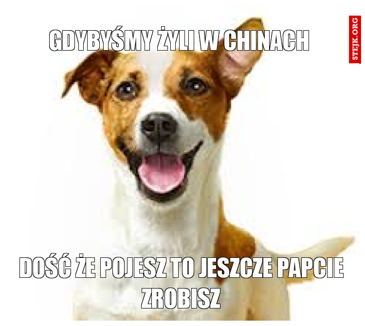 Gdybyśmy żyli w chinach 