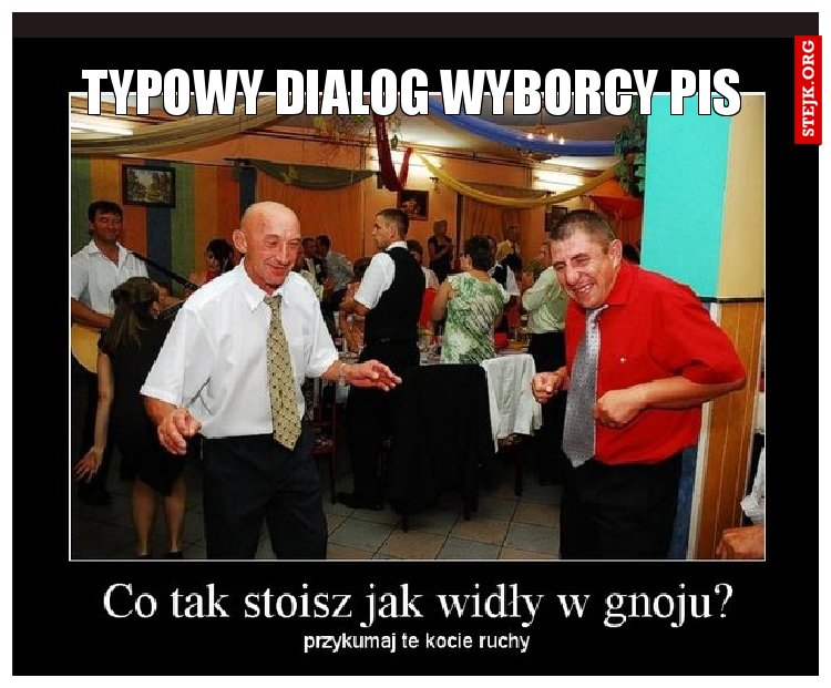 TYPOWY DIALOG WYBORCY pis