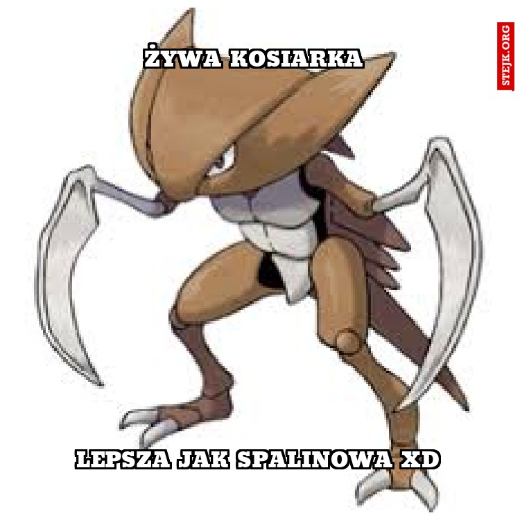 ŻYWA KOSIARKA 