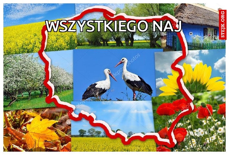 WSZYSTKIEGO NAJ
