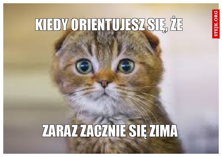 kiedy orientujesz się, że 
