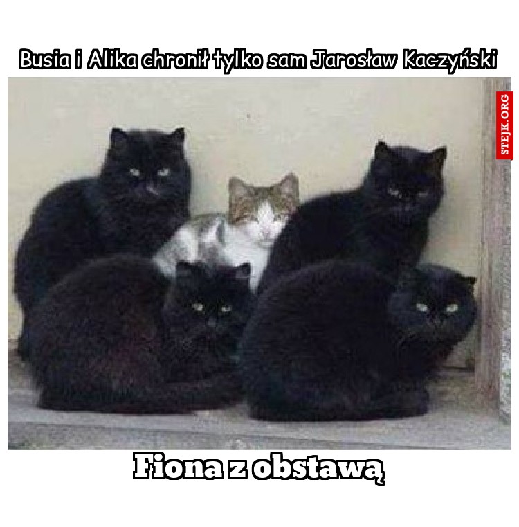 Busia i Alika chronił tylko sam Jarosław Kaczyński