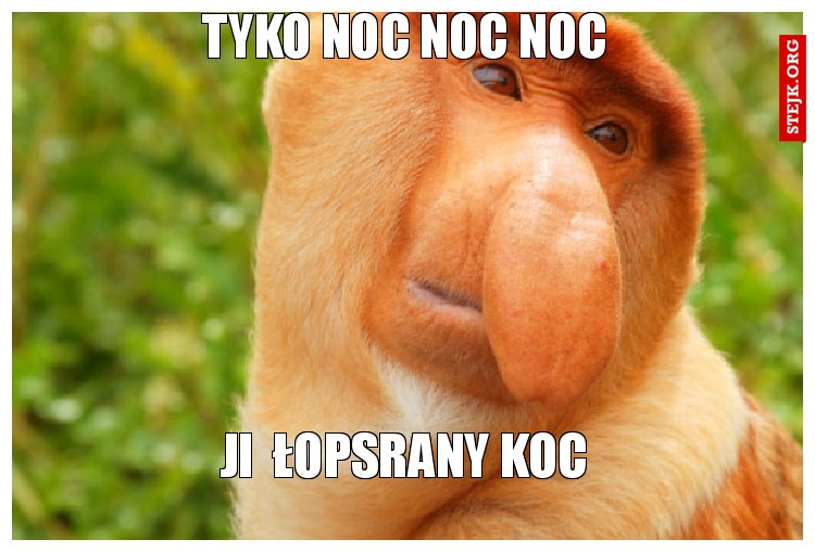 tyko noc noc noc