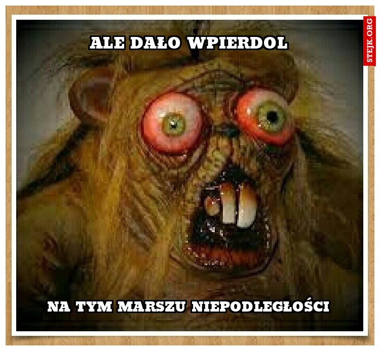 Marsz niepodległosci