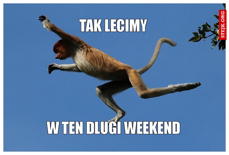 Tak lecimy